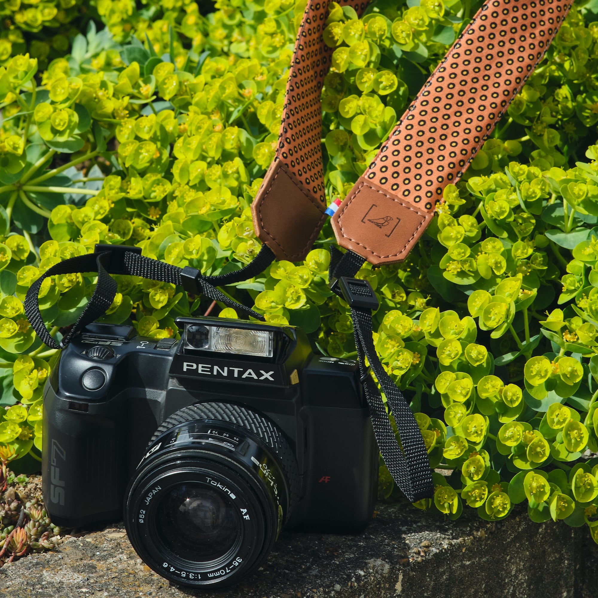 SANGLE DE COU POUR APPAREIL PHOTO LAGOS